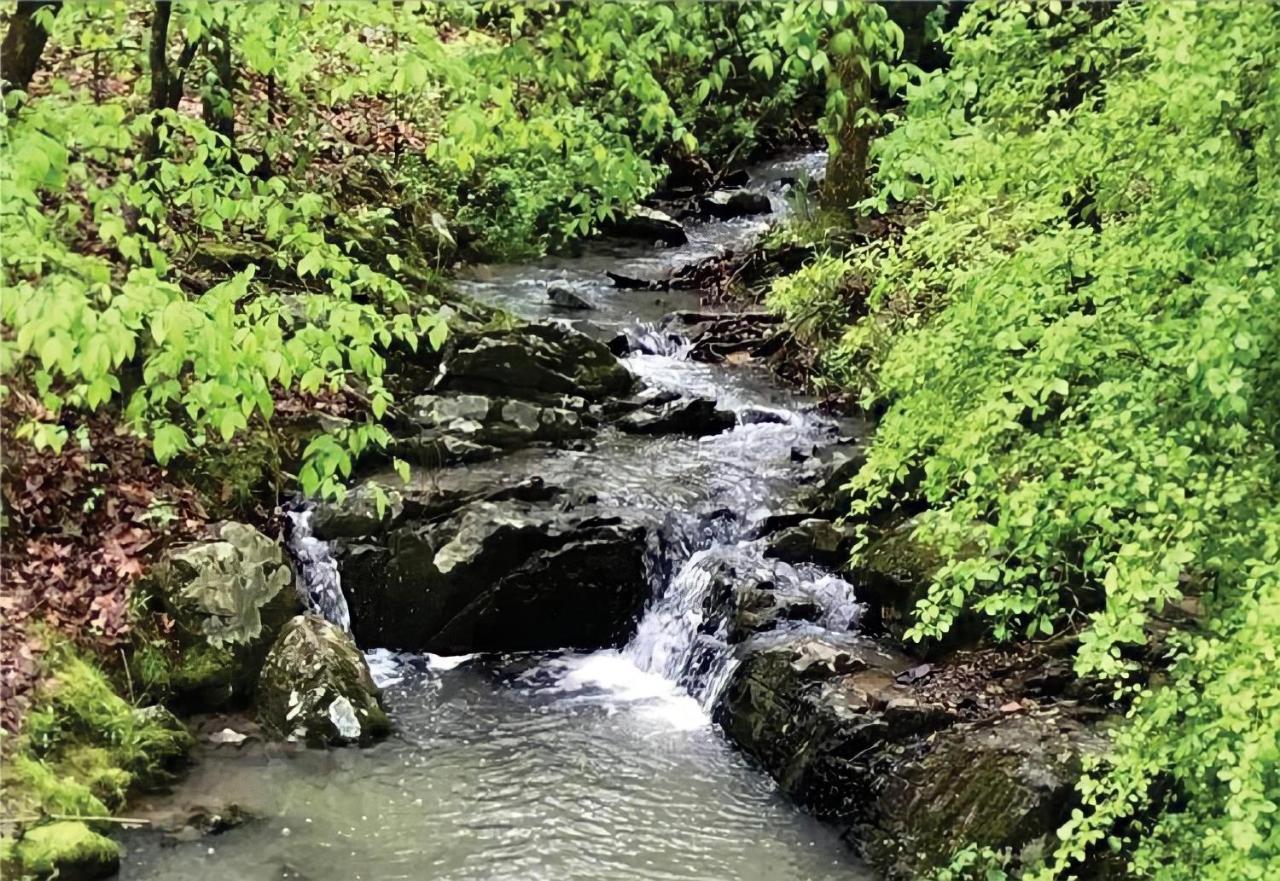 Secluded Home With Mini Waterfall And A Creek In Hot Springs Exterior foto